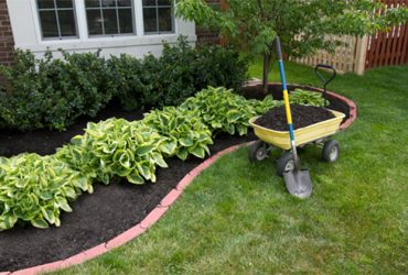 Gardens and Shrubbery